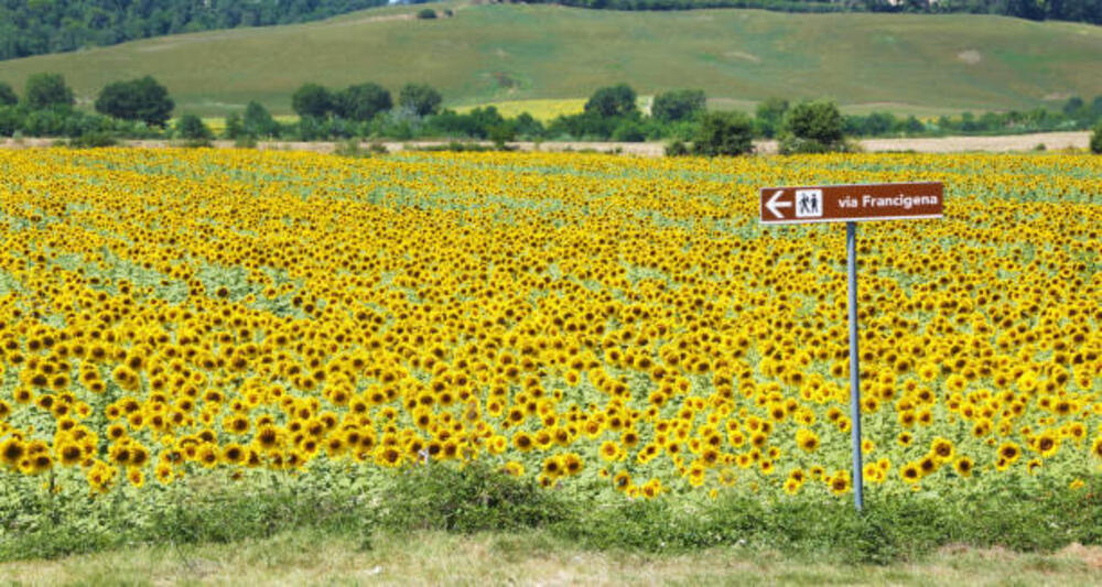 Segnaletica della Via Francigena in Toscana