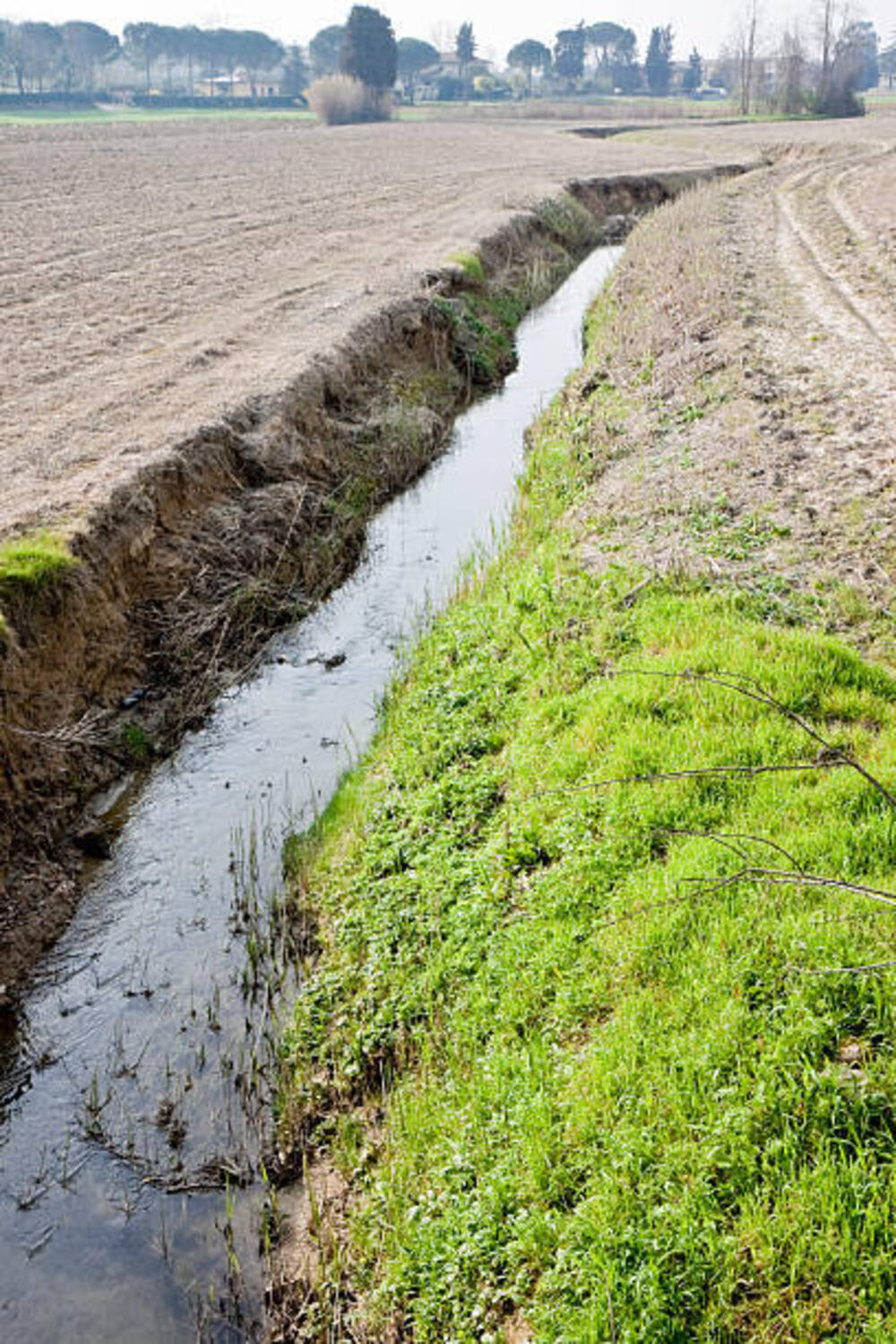 Canale nella campagna della Piana di Lucca